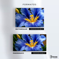 Cuadros Decorativos Canvas Revolution | Magia Flor Iris | Formatos