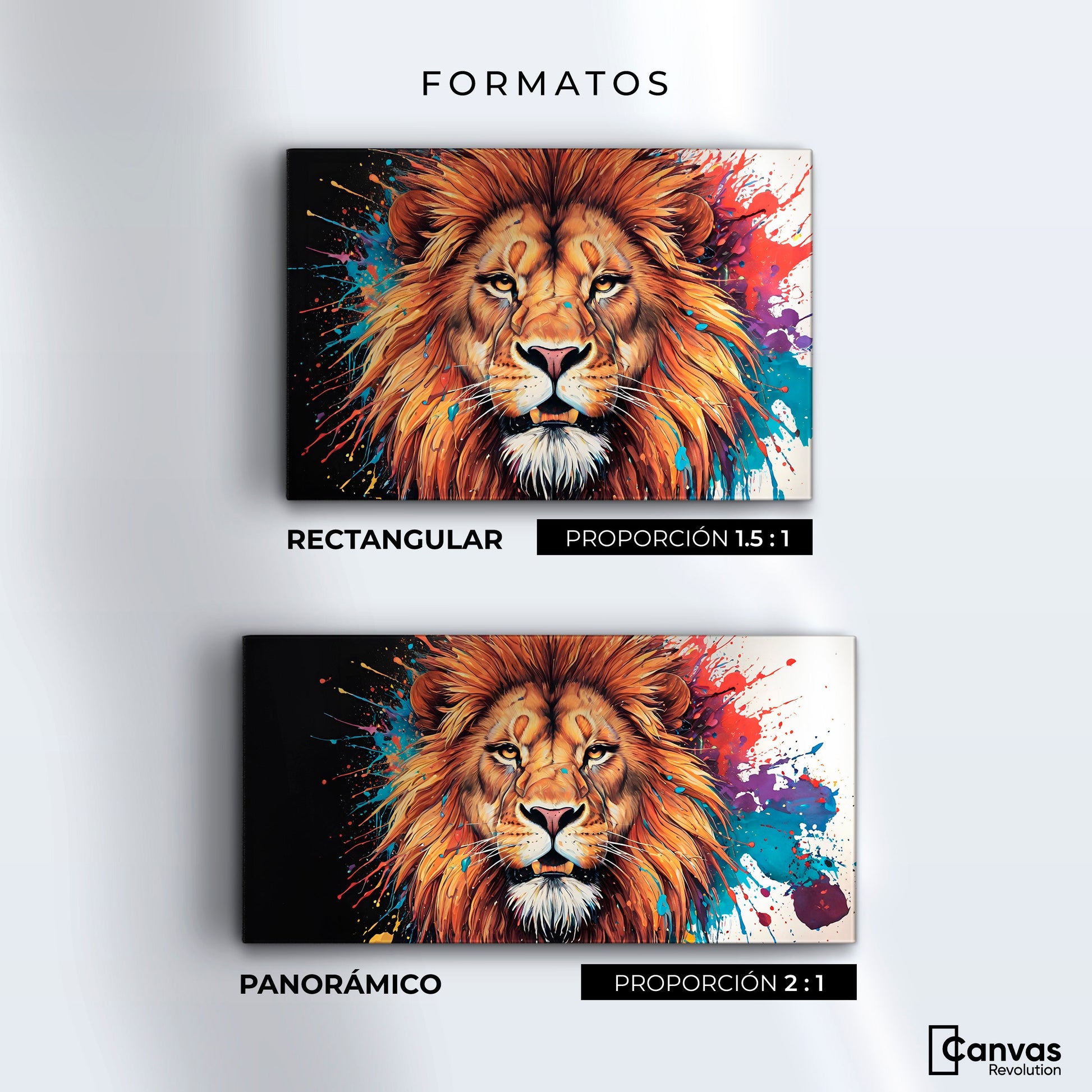 Cuadros Decorativos Canvas Revolution | Majestad Colores | Formatos