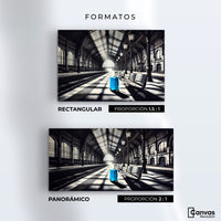 Cuadros Decorativos Canvas Revolution | Maleta En Espera | Formatos
