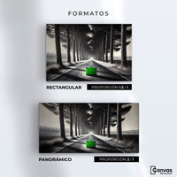 Cuadros Decorativos Canvas Revolution | Maleta Solitaria | Formatos