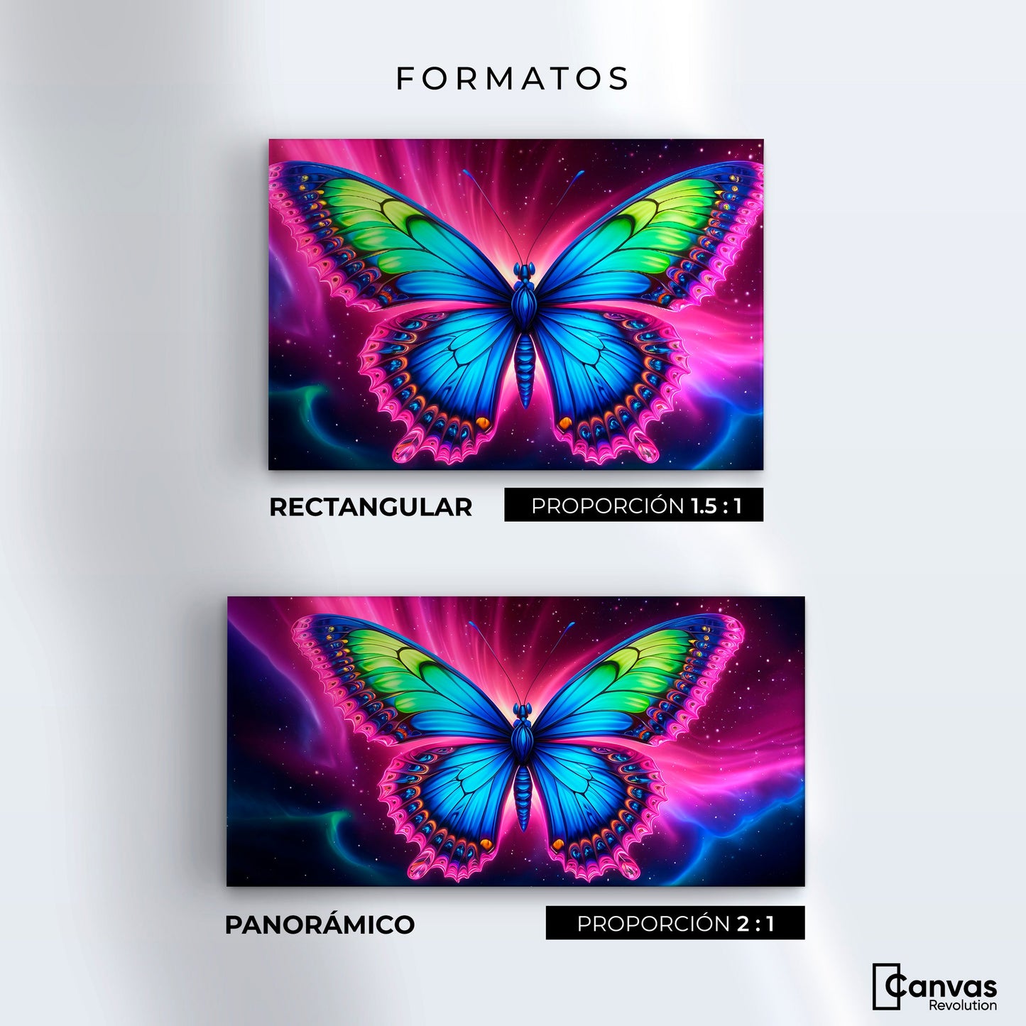 Cuadros Decorativos Canvas Revolution | Mariposa Nebulosa | Formatos