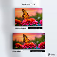 Cuadros Decorativos Canvas Revolution | Mariposa Radiante | Formatos
