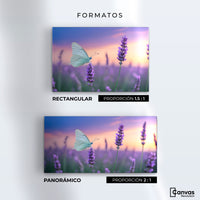 Cuadros Decorativos Canvas Revolution | Mariposa Y Lavanda | Formatos