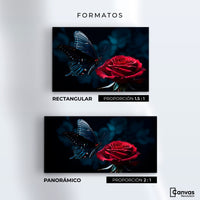 Cuadros Decorativos Canvas Revolution | Mariposa Y Rosa | Formatos