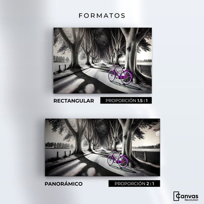 Cuadros Decorativos Canvas Revolution | Morado Natural | Formatos