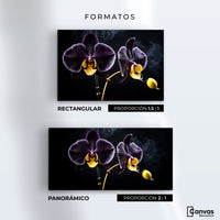 Cuadros Decorativos Canvas Revolution | Orquidea Bicolor | Formatos