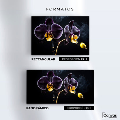 Cuadros Decorativos Canvas Revolution | Orquidea Bicolor | Formatos
