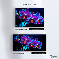 Cuadros Decorativos Canvas Revolution | Orquidea Destello | Formatos