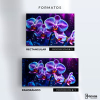 Cuadros Decorativos Canvas Revolution | Orquidea Luz Sutil | Formatos