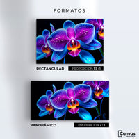 Cuadros Decorativos Canvas Revolution | Orquidea Radiante | Formatos