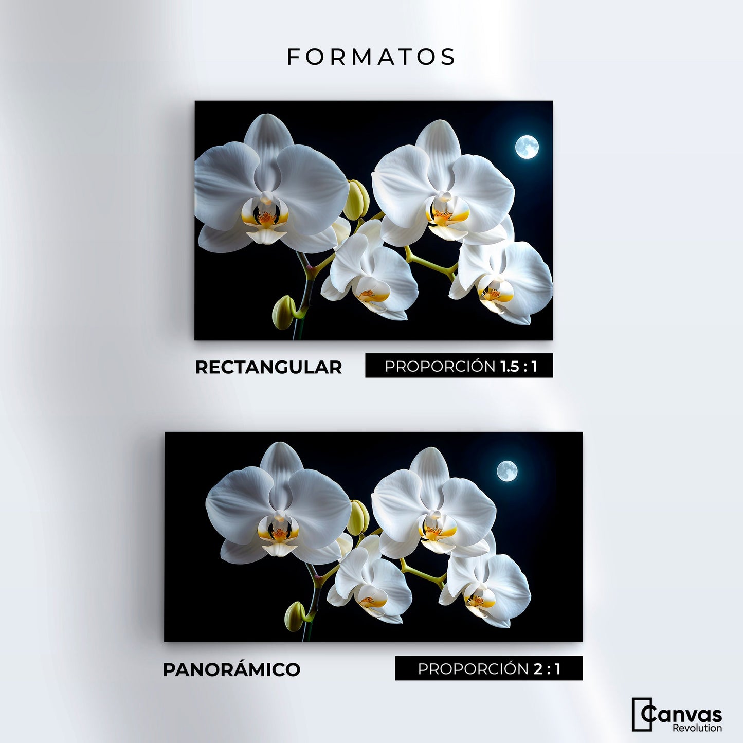 Cuadros Decorativos Canvas Revolution | Orquideas De Noche | Formatos