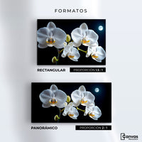 Cuadros Decorativos Canvas Revolution | Orquideas De Noche | Formatos