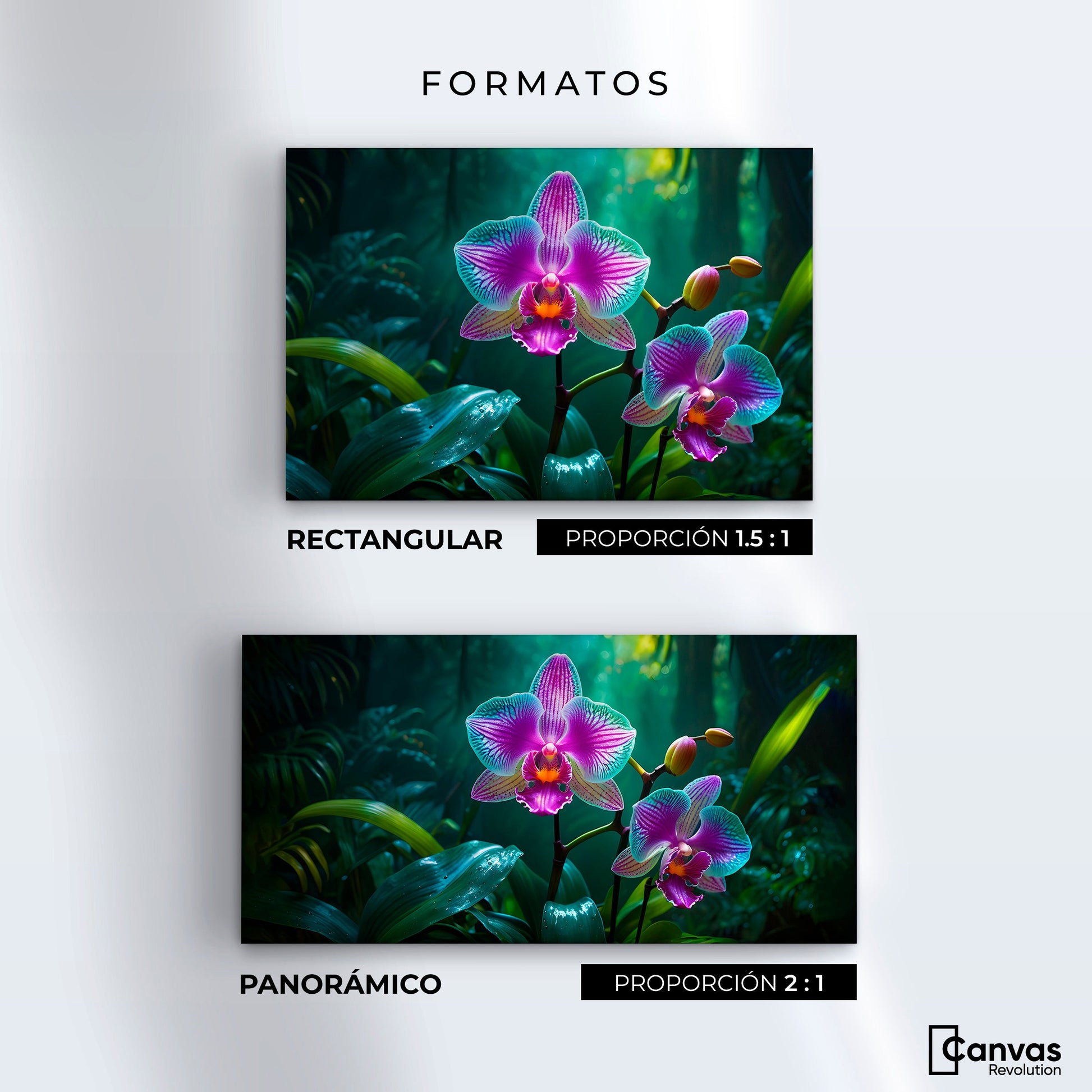 Cuadros Decorativos Canvas Revolution | Orquideas Vibrantes | Formatos