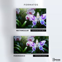 Cuadros Decorativos Canvas Revolution | Orquideas Y Alas | Formatos