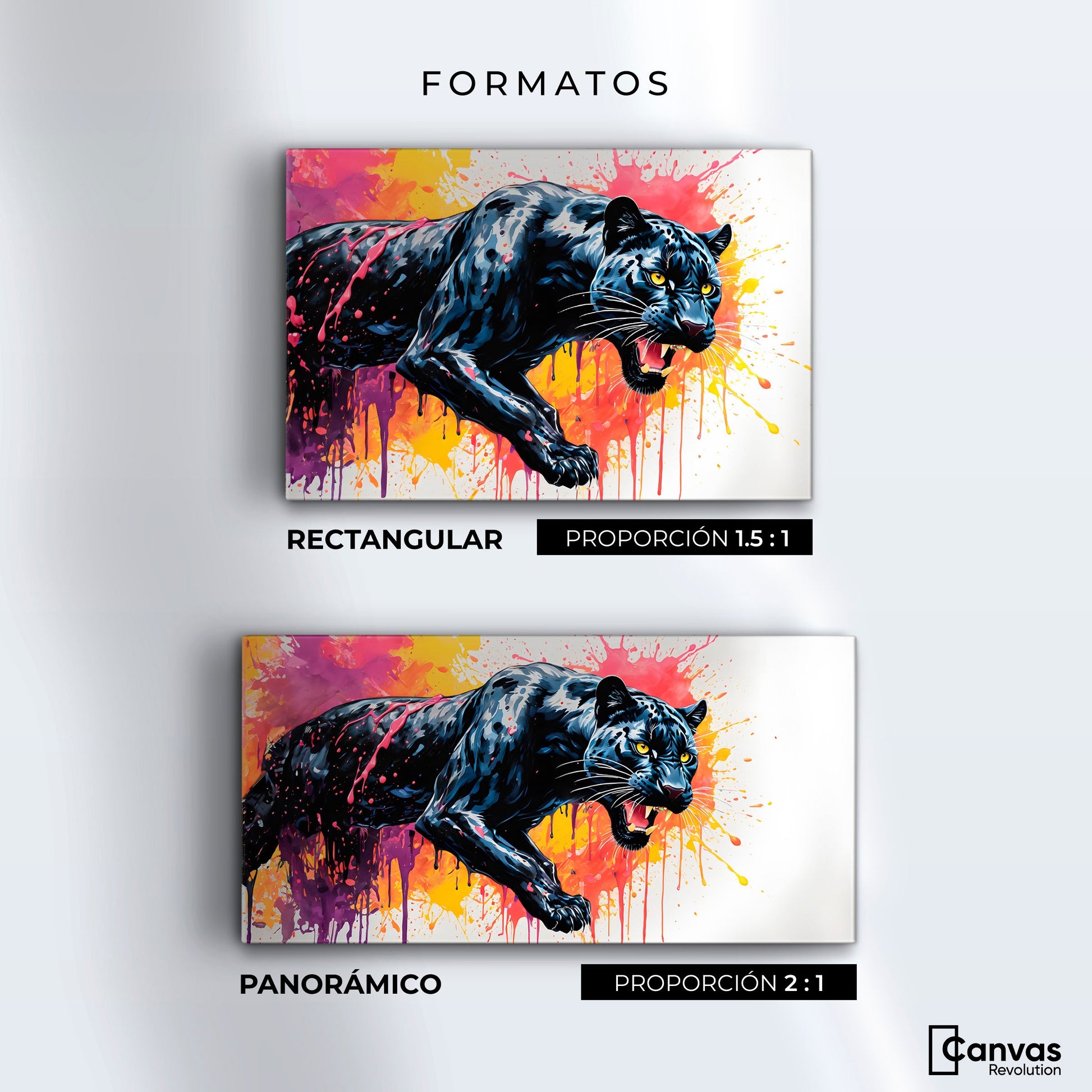Cuadros Decorativos Canvas Revolution | Pantera Colores | Formatos