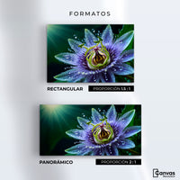 Cuadros Decorativos Canvas Revolution | Pasion Flor Eterna | Formatos