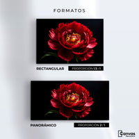Cuadros Decorativos Canvas Revolution | Peonia De Noche | Formatos