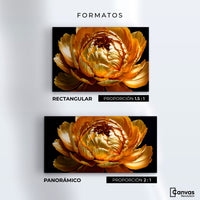Cuadros Decorativos Canvas Revolution | Peonia Dorada Flor | Formatos