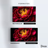 Cuadros Decorativos Canvas Revolution | Peonia Dualidad | Formatos