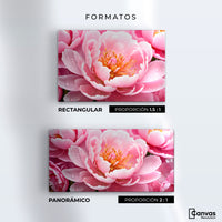 Cuadros Decorativos Canvas Revolution | Peonia Encanto | Formatos