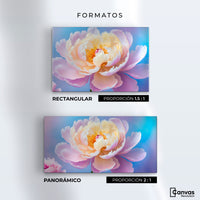 Cuadros Decorativos Canvas Revolution | Peonia Luz Eterna | Formatos