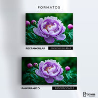 Cuadros Decorativos Canvas Revolution | Peonia Morada Viva | Formatos