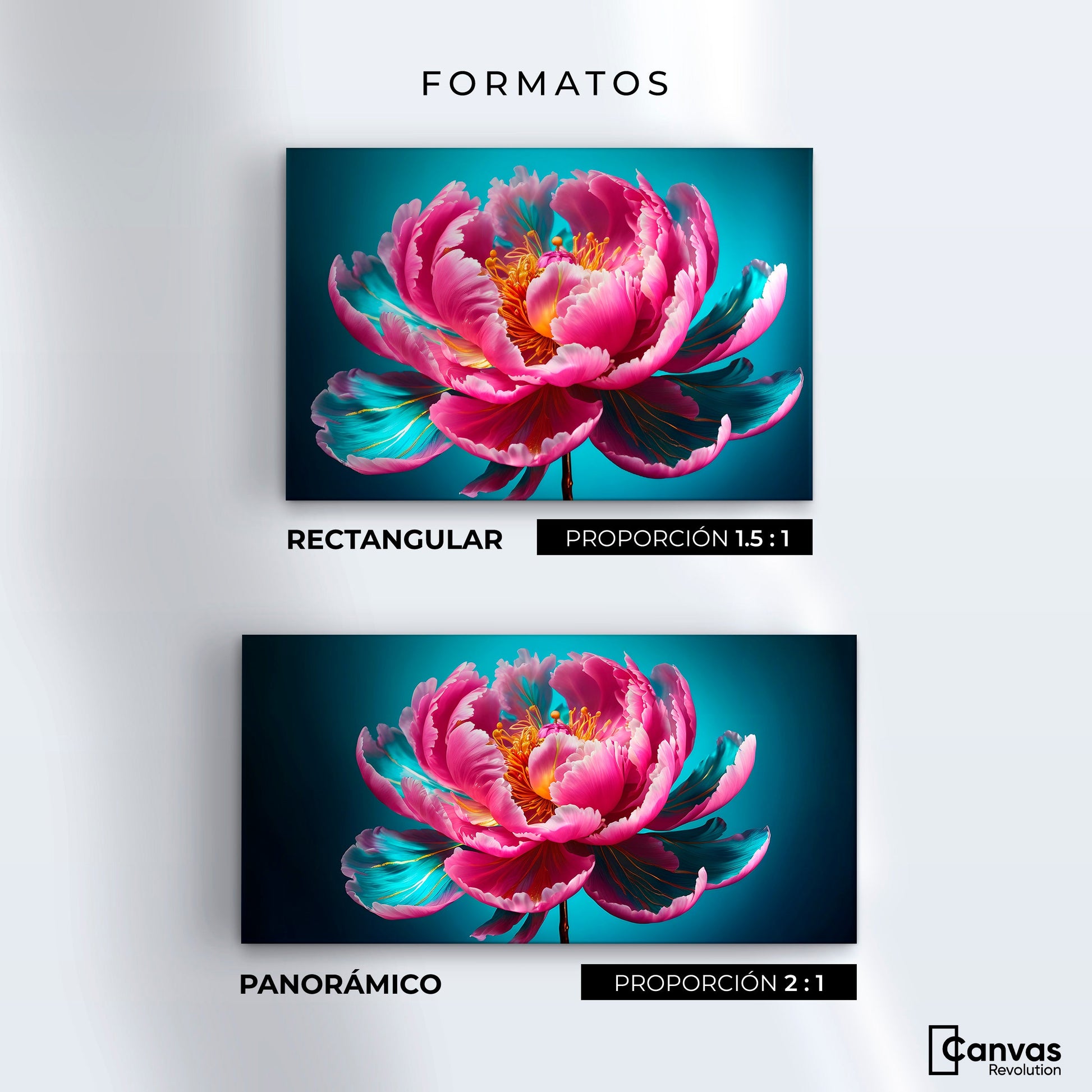 Cuadros Decorativos Canvas Revolution | Peonia Radiante | Formatos