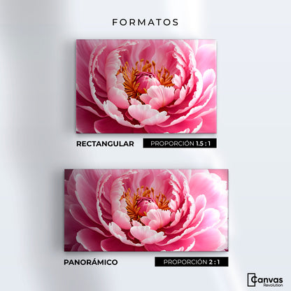 Cuadros Decorativos Canvas Revolution | Peonia Rosa Abierta | Formatos