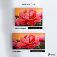 Cuadros Decorativos Canvas Revolution | Peonia Rosa Eterno | Formatos