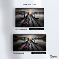 Cuadros Decorativos Canvas Revolution | Petalos De Muelle | Formatos