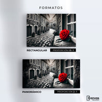 Cuadros Decorativos Canvas Revolution | Piedras Y Petalos | Formatos