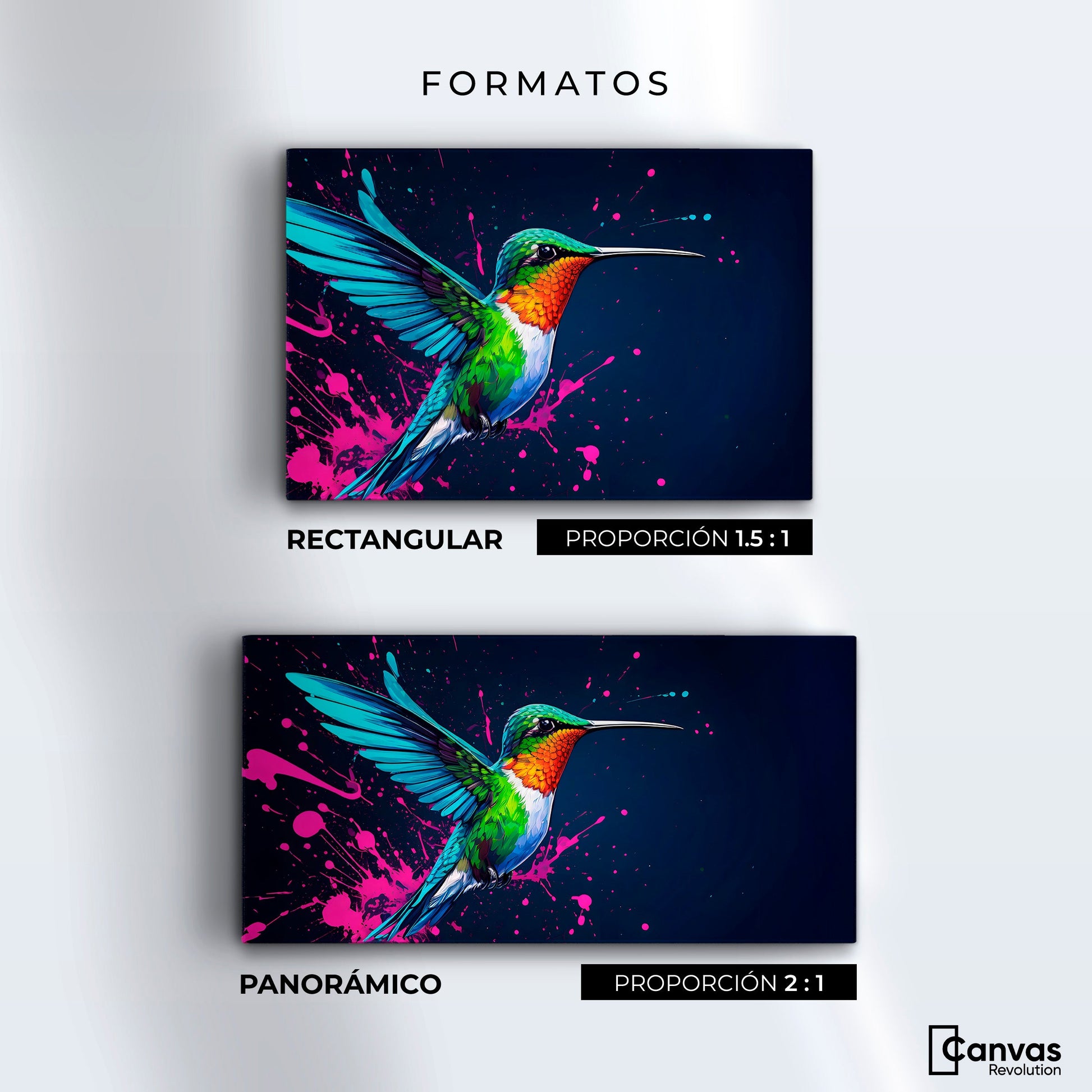 Cuadros Decorativos Canvas Revolution | Pinceladas Nectar | Formatos