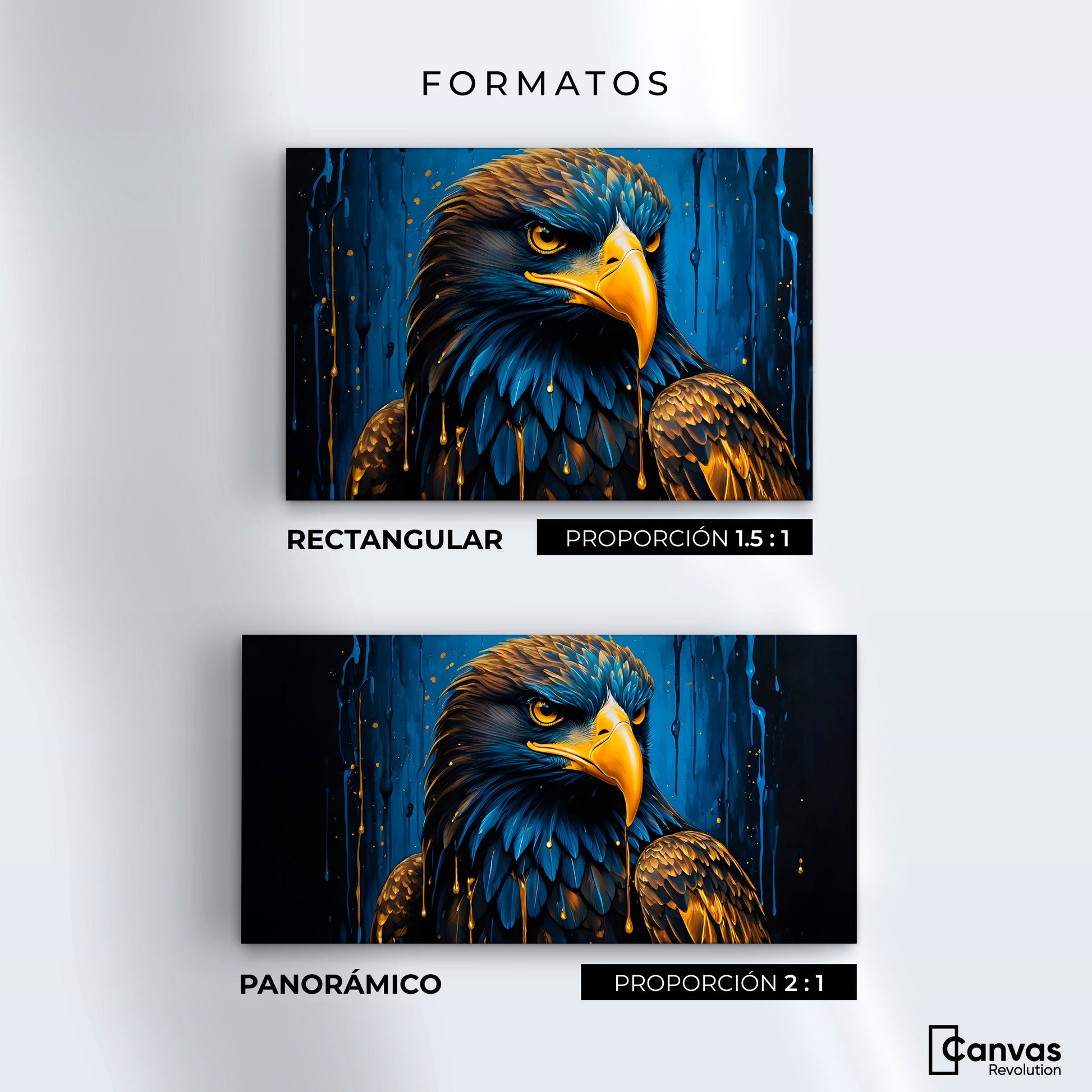 Cuadros Decorativos Canvas Revolution | Plumas Celestiales | Formatos