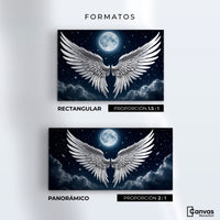 Cuadros Decorativos Canvas Revolution | Plumas Del Alma | Formatos