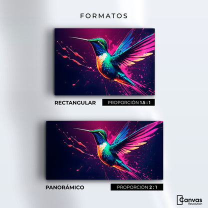 Cuadros Decorativos Canvas Revolution | Plumas Radiantes | Formatos