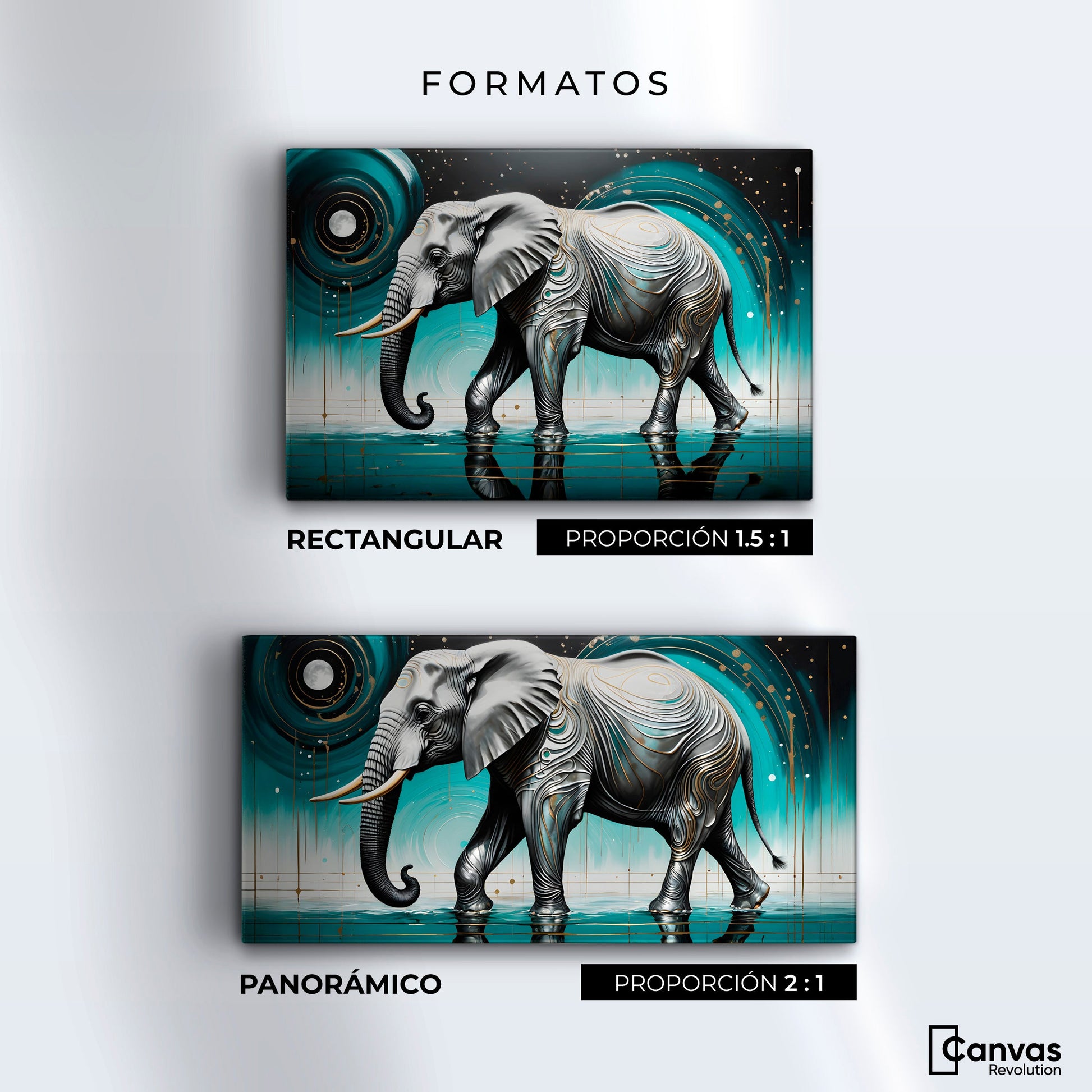 Cuadros Decorativos Canvas Revolution | Poder Elefante | Formatos