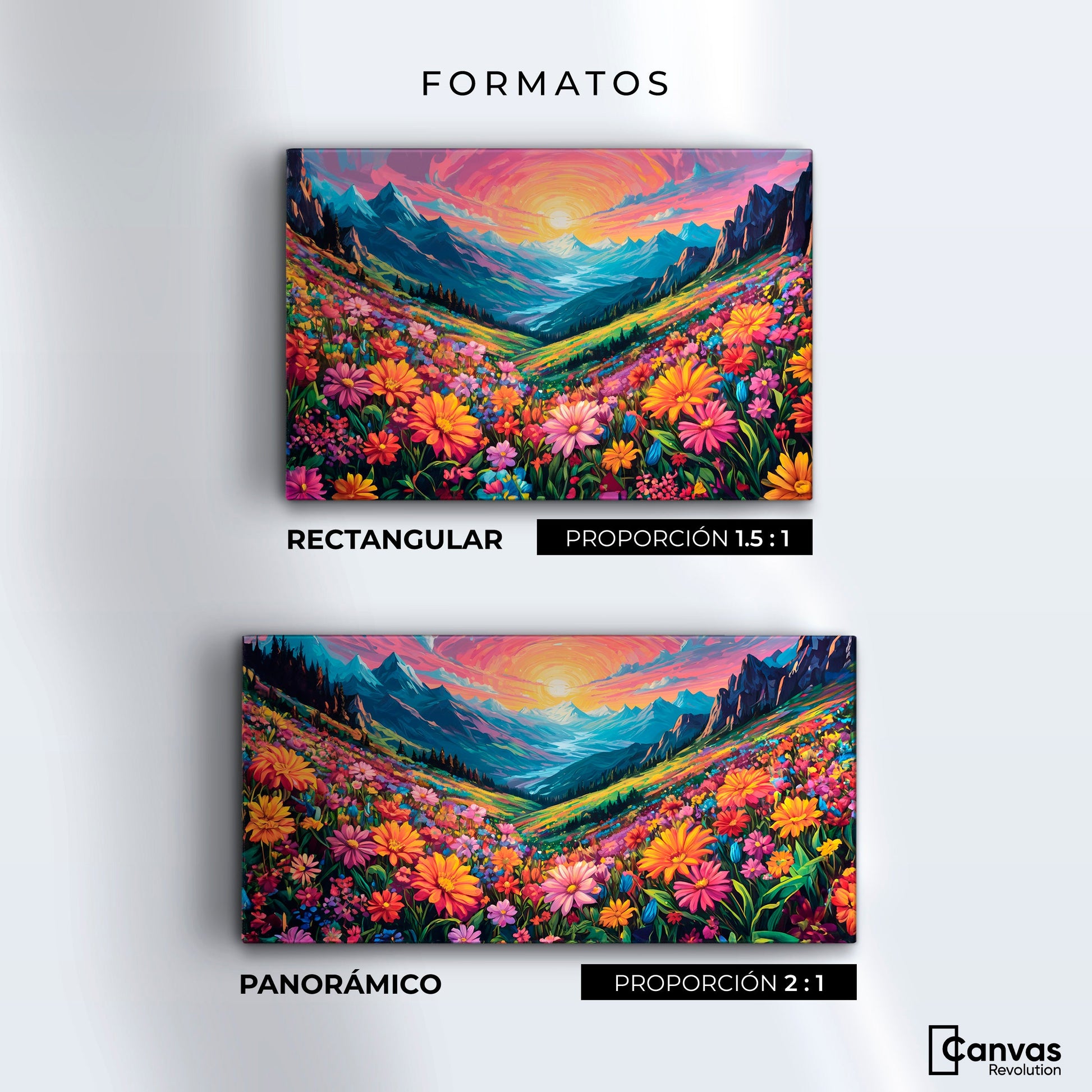 Cuadros Decorativos Canvas Revolution | Pradera Colores | Formatos