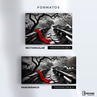 Cuadros Decorativos Canvas Revolution | Puente De Pasion | Formatos