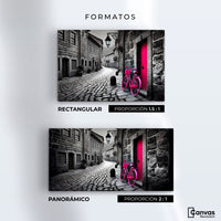 Cuadros Decorativos Canvas Revolution | Puerta Del Recuerdo | Formatos