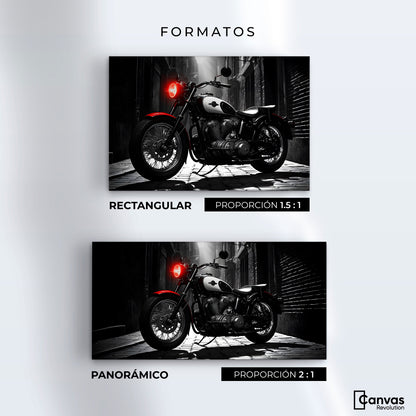 Cuadros Decorativos Canvas Revolution | Resplandor Vintage | Formatos