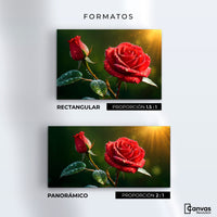 Cuadros Decorativos Canvas Revolution | Rosa En Contraste | Formatos