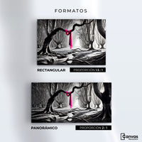 Cuadros Decorativos Canvas Revolution | Rosa Entre Raices | Formatos