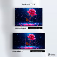 Cuadros Decorativos Canvas Revolution | Rosa Magia Pura | Formatos