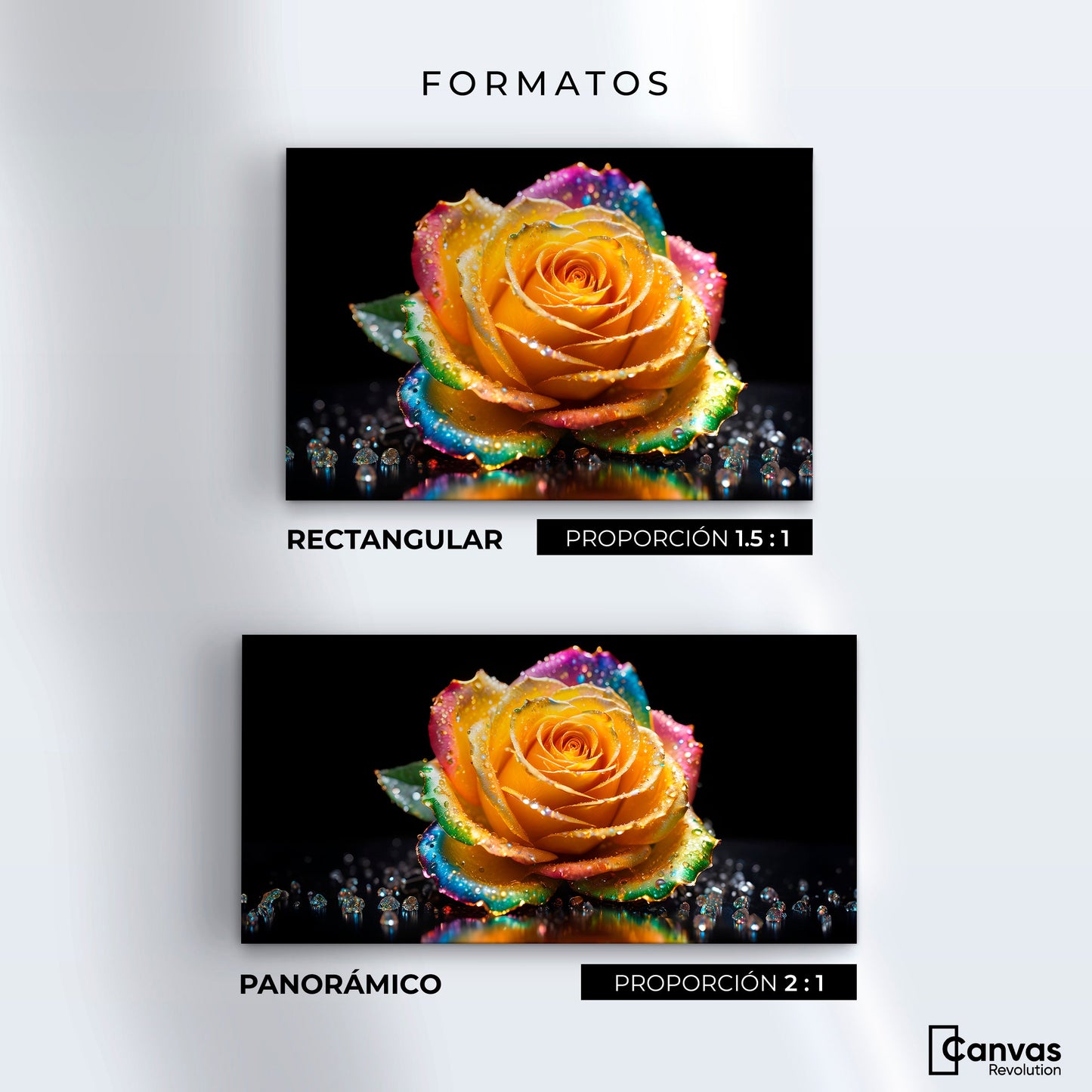 Cuadros Decorativos Canvas Revolution | Rosa Multicolor | Formatos