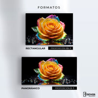 Cuadros Decorativos Canvas Revolution | Rosa Multicolor | Formatos