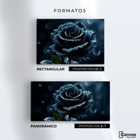 Cuadros Decorativos Canvas Revolution | Rosa Negra Poderosa | Formatos
