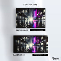 Cuadros Decorativos Canvas Revolution | Rosa Nocturno | Formatos