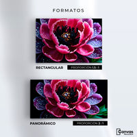 Cuadros Decorativos Canvas Revolution | Rosa Purpura Eterna | Formatos