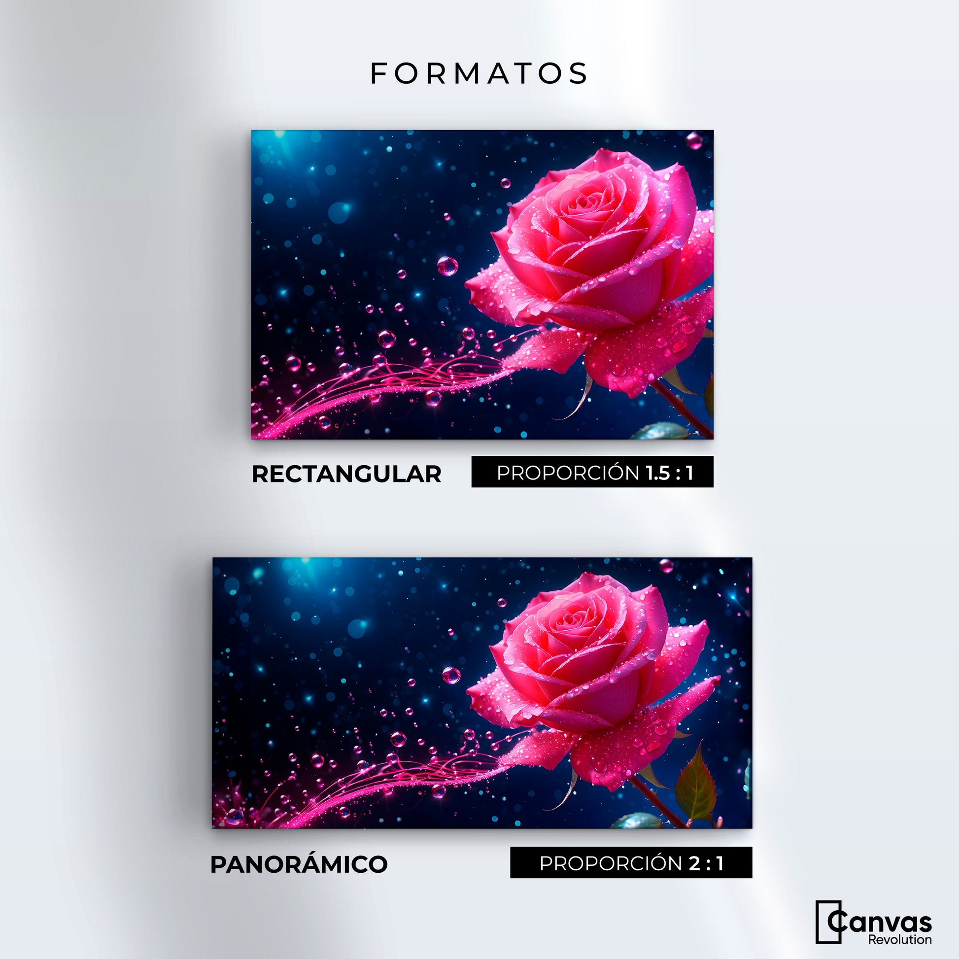 Cuadros Decorativos Canvas Revolution | Rosa Radiante Sueno | Formatos