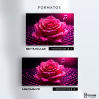 Cuadros Decorativos Canvas Revolution | Rosa Red Eterna | Formatos